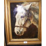 An antique oil on canvas portrait of donkey’s head - 39cm x 28cm