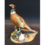 A Royal Crown Derby Porcelain Model of a Pheasant upon a Naturalistic Base,