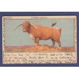 Advertising - Lemco "Types of Cattle" Longhorn artist "Hassall" P/U 1903