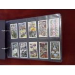 Cigarette Cards - Collection of 15 sets, EX, in a modern album, Cat £360+. British Birds (Pitt),