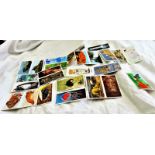 Brooke Bond 1984-94 20 sets in modern album includes Incredible Creatures 3 sets 3 backs and The