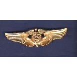 American Flight Surgeon Gilt Wings