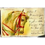 Artist - Harry Payne  "Charger, Scots Greys", Tucks "Animal Life" No. 549, used 1902.