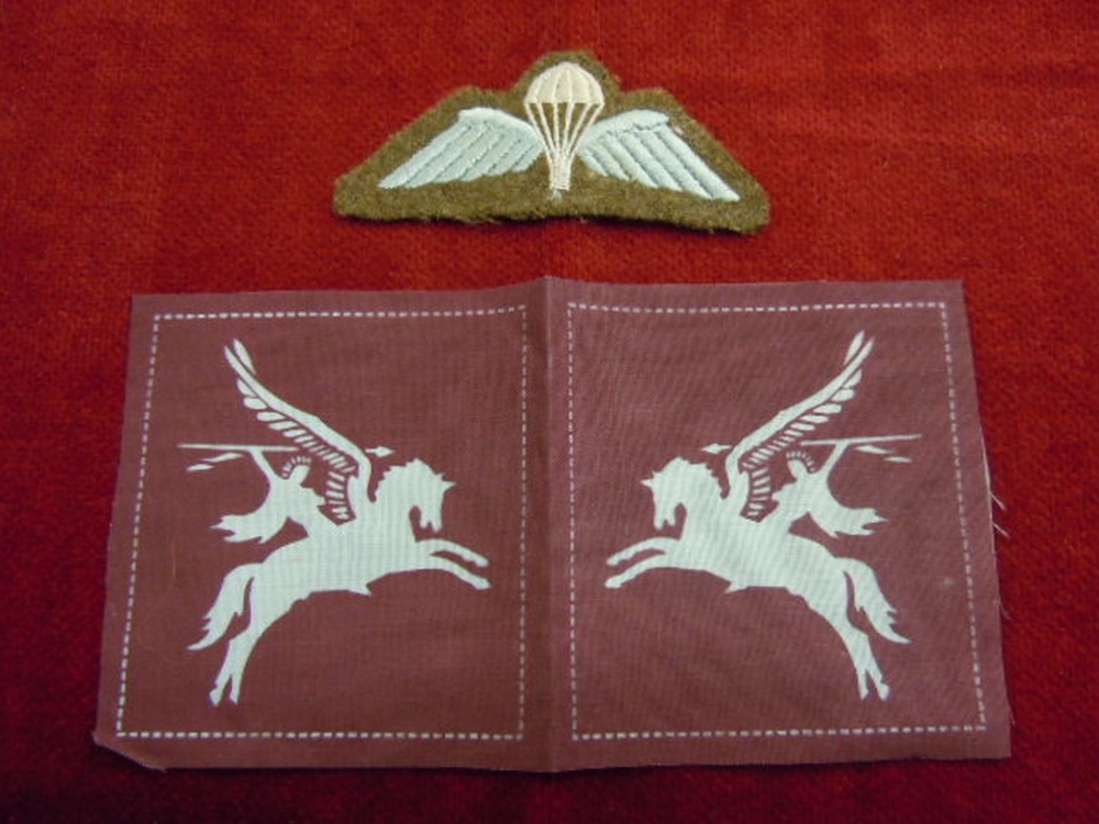 Para Trooper Regt Printed Dive Patches with Para Wings and Para Trooper Hat Badge