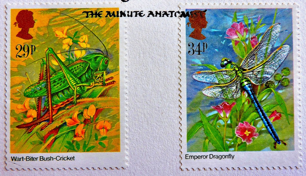 GB 1985 12th Mar Insects fine arts official signed first day cover U/A Cat £40 - Image 5 of 5