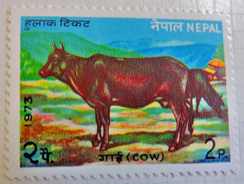 Nepal  Used collection early to 1980.  Good lot. - Image 2 of 4