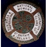 N.F.B.P.W.C. National Federation of Business and Professional Women's Clubs  Enamel pin badge