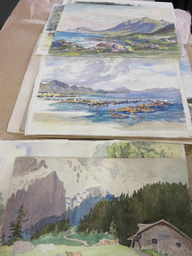 FOLDER, collection of 20 assorted unframed water colours of various subjects