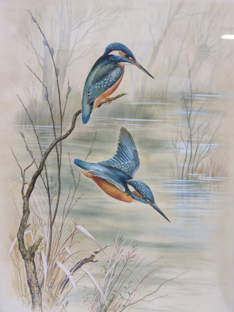 PAUL NICHOLAS, signed water colour, "Kingfishers", 21" x 15"