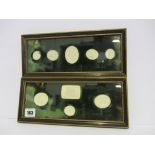 SEAL CASTS, 2 framed displays of 9 Italian intaglio plaster seal casts