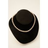 16" pearl necklace with gold clasp