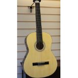 Elevation Acoustic guitar with case