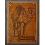 19th Century English School Study of a Camel, Watercolour and Ink, Inscribed ‘Stefa Pollak’ on the