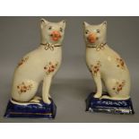 A PAIR OF FLORAL DECORATED STAFFORDSHIRE CATS with gilt ribbon collar, orange nose on blue gilt