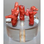 A GROUP OF FIVE SMALL PIECES OF RED CORAL, mounted on a circular Perspex stand, 3.1in high