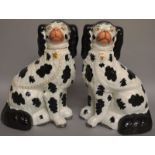 A GOOD PAIR OF BLACK AND WHITE STAFFORDSHIRE SEATED POODLES with orange eyes, green and gilt nose,