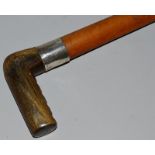 A MALACCA CANE with horn handle. 33.5ins long.