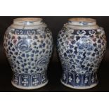 A PAIR OF 19TH CENTURY CHINESE BLUE & WHITE PORCELAIN JARS, each painted with a formal design of