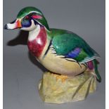 A ROYAL WORCESTER PORCELAIN PAINTED MALE WOOD DUCK. Modelled by D. LINDNER, No. 3459. 8.5ins high.