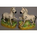 A PAIR OF STAFFORDSHIRE BLACK AND WHITE STANDING ZEBRAS on green rustic bases. 7ins high.