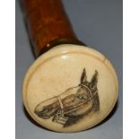 A CANE with carved IVORY HANDLE etched with a horse. 34ins long.