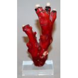 A PIECE OF RED CORAL, mounted on a Perspex stand, each tentacle surmounted by a pearl, 6.75in high.