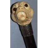AN EBONY CANE with carved ivory BULLDOG handle and silver band.  34ins long.
