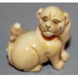 A GOOD QUALITY 19TH CENTURY SIGNED JAPANESE IVORY NETSUKE OF A DOG & RAT, the rat clinging to the
