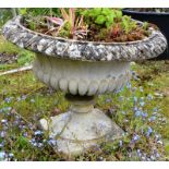 A RECONSTITUTED STONE PEDESTAL URN with egg and dart rim. 1ft 6ins high.