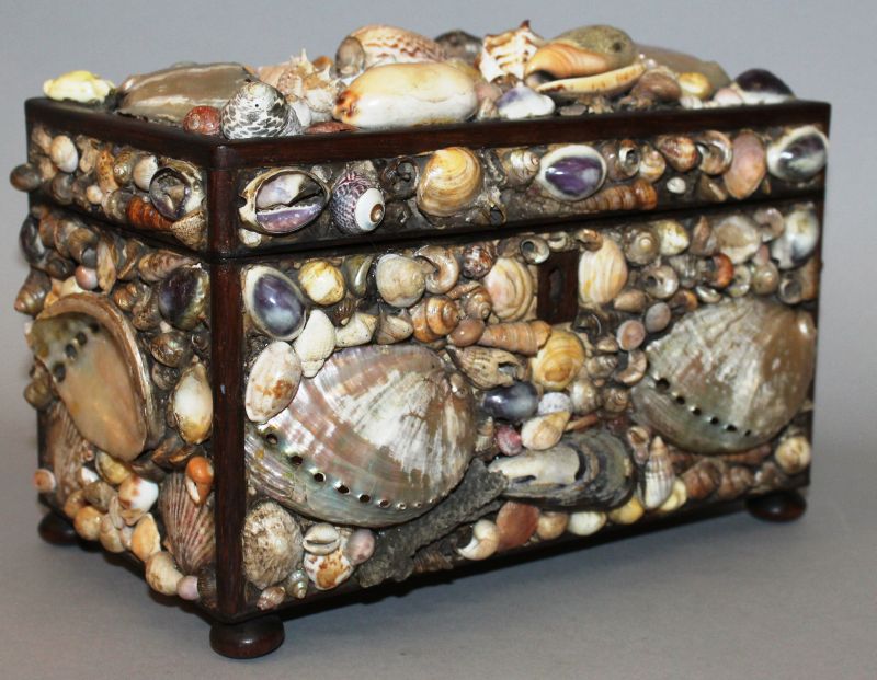 A 19TH CENTURY SHELL MOUNTED TWO DIVISION TEA CADDY, 8.5ins wide, smothered in shells.
