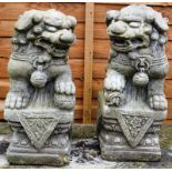 A PAIR OF RECONSTITUTED STONE MODELS OF CHINESE LIONS. 1ft 5ins high.