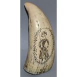A SCRIMSHAW TOOTH, engraved with a young lady. 4ins long.