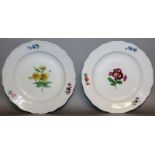 A PAIR OF MEISSEN CIRCULAR PLATES painted with flowers. 10ins diameter Cross swords mark in blue.