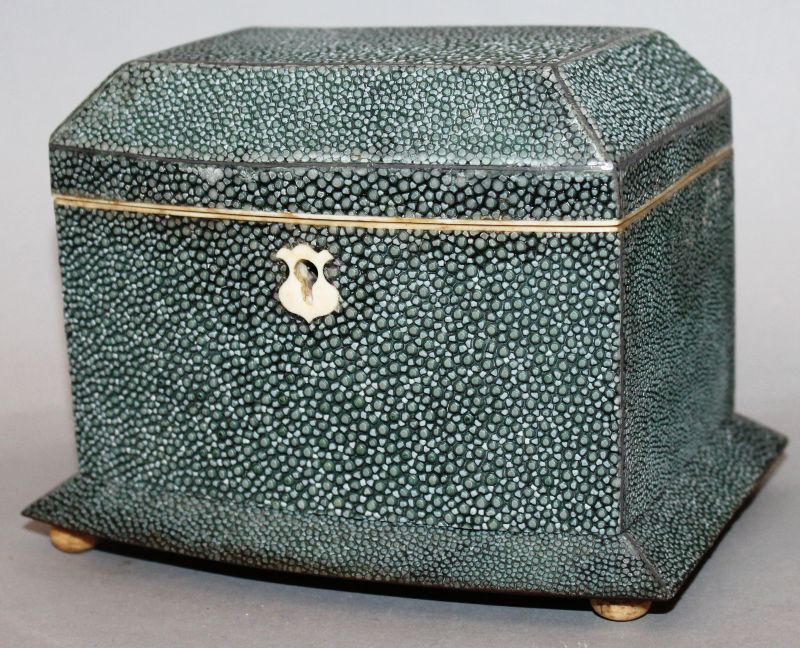 A GREY SHAGREEN BOWFRONTED TWO DIVISION TEA CADDY on bun feet 6ins wide.