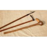 A CROFTER’S CASCHROM, A BARLEY HOE AND A TANGED CULTIVATION TOOL. 19th/early 20th century. The