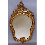 A GOOD 19TH CENTURY FRENCH GILT OVAL MIRROR, acanthus, flowers and scrolls. 3ft 3ins high, 1ft 10ins