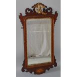 A CHIPPENDALE MAHOGANY FRETWORK MIRROR with pierced phoenix bird in gilt and satinwood shell. 3ft