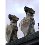A PAIR OF RECONSTITUTED GATEPOST FINIALS modelled as Griffins with shields 3ft high.
