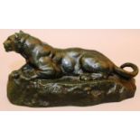 ANTOINE LOUIS BARYE (1796-1875) FRENCH A BRONZE OF A LAYING LIONESS on a rock. Signed 7.5ins long.