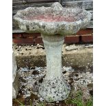 A SMALL RECONSTITUTED STONE SHELL SHAPE BIRD BATH 1ft 8ins high.