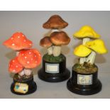 THREE SMALL MUSHROOM GROUPS, each with three mushrooms on circular wooden bases 5ins high and 4.5ins