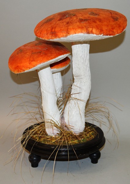 A LARGE MUSHROOM GROUP, SPECIMENS of three mushrooms on a wooden stand 17ins high.