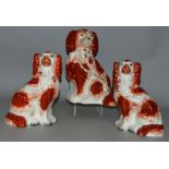 THREE STAFFORDSHIRE BROWN AND WHITE SEATED KING CHARLES SPANIELS 11ins and 9ins (2).