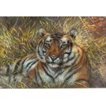 Joel Kirk (1948-   ) British. A Tiger Resting in the Undergrowth, Pastel, Signed, 23” x 31”.