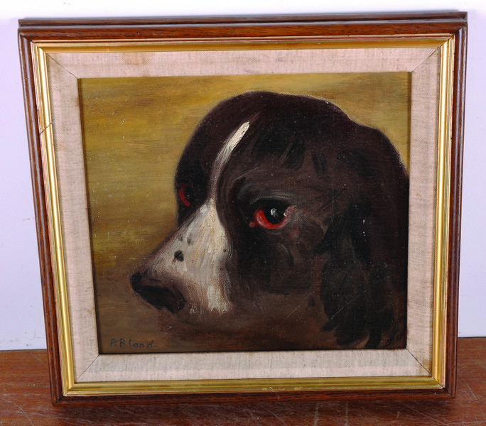 P… Bland (20th Century) British. Head of a Dog, Oil on Canvas laid down, 9” x 10”. - Image 2 of 4