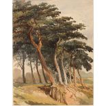 George Mayer (c.1820-c.1880) British. “Hampstead Heath”, Watercolour, 10” x 7”.