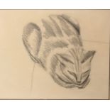 Maurice Denton Welch (1915-1948) British. “Cat Snoozing”, Pencil, 10” x 12”. Provenance; Collection