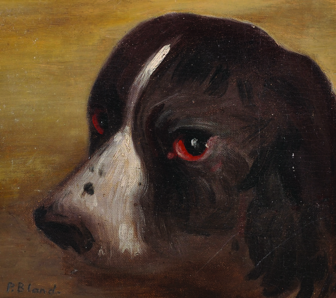 P… Bland (20th Century) British. Head of a Dog, Oil on Canvas laid down, 9” x 10”.