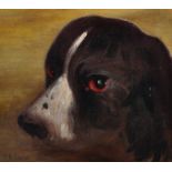 P… Bland (20th Century) British. Head of a Dog, Oil on Canvas laid down, 9” x 10”.