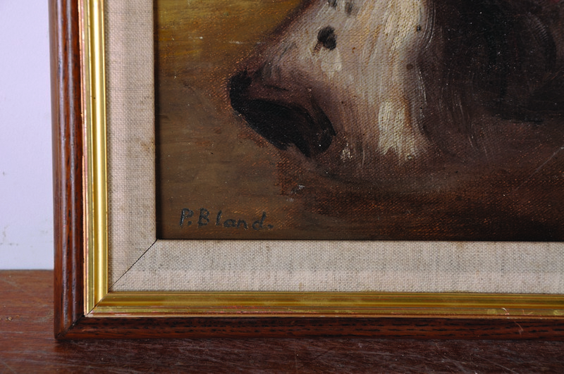 P… Bland (20th Century) British. Head of a Dog, Oil on Canvas laid down, 9” x 10”. - Image 3 of 4